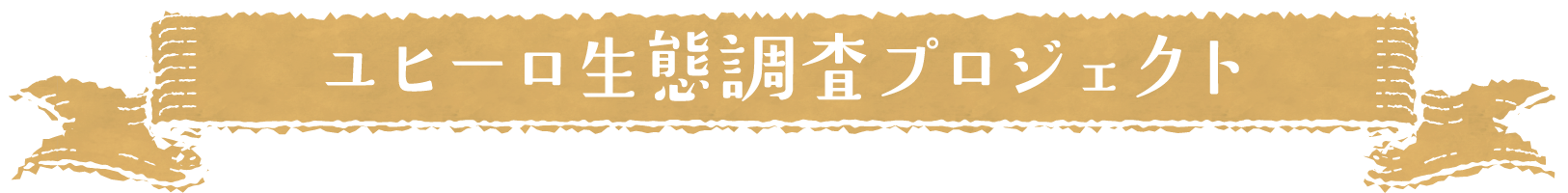 ユヒーロ・ユー生態調査プロジェクト 調査期間　2019年3月1日〜3月31日