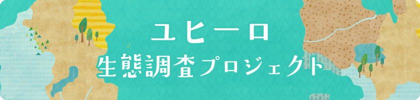 ユヒーロ・ユー生態調査プロジェクト